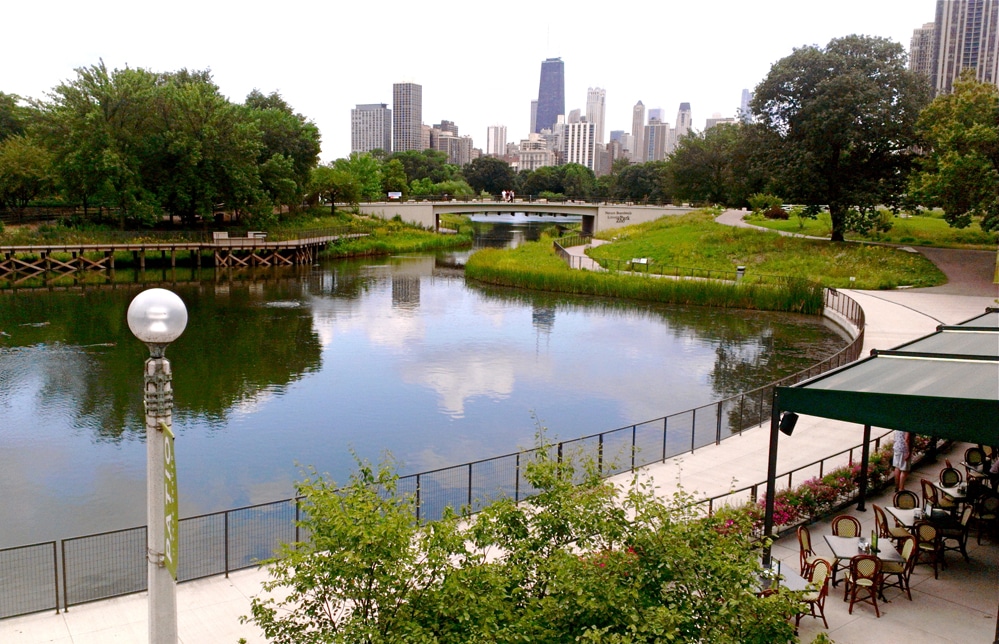 Chicago Skyline at The Chicago HIMSS Chapter