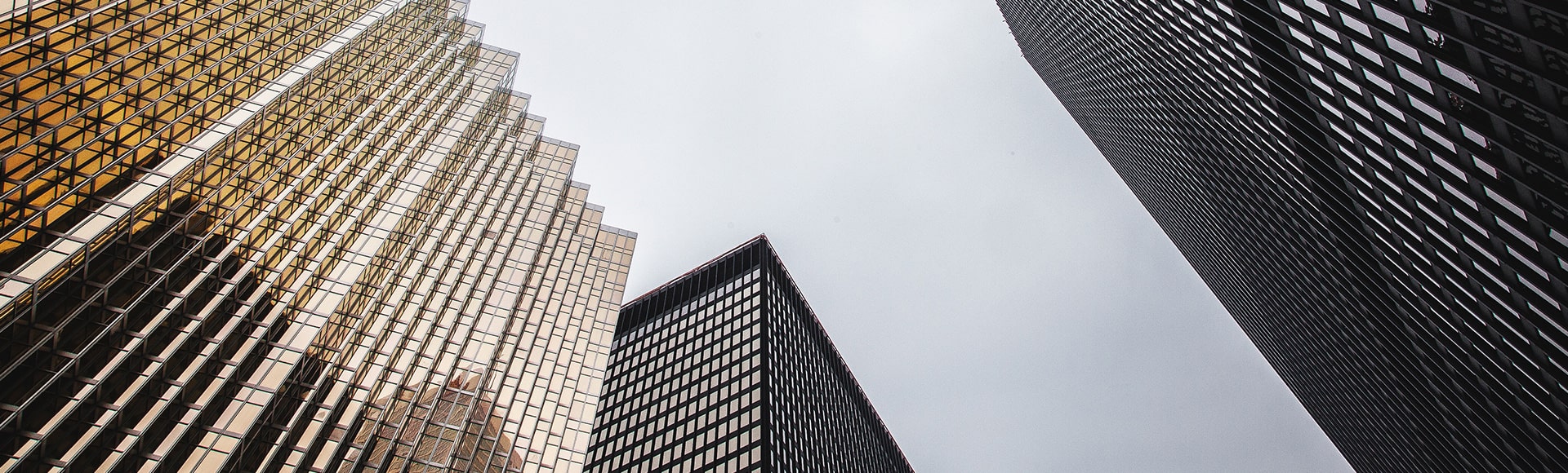 OTAVA® Appoints Pete Bell as Senior Vice President of Sales