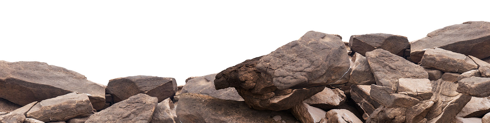 Network security in the time of novel coronavirus