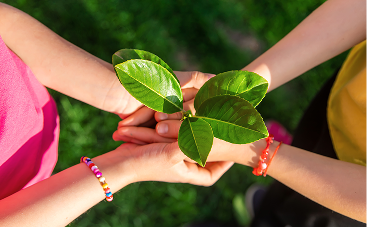 Whole Earth Brands’ Successful SAP Migration to Azure with OTAVA